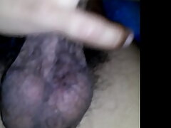 CAM00095