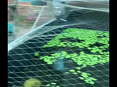 Verification video