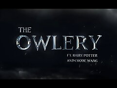 Chode Wang and the Owlery - Gobbywarts//School of Sexcraft and Wickedry//SIMS 4//Harry Potter Rule 34 Porn