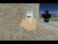 Video de verificaci&oacute_n