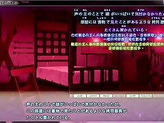 機轉中字 乙女ゲーム R18 【樟屋敷の物語～秘密のお帳面～ P1主線】 遊戲錄製