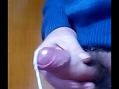 paja a doble cam. cam 1