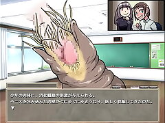 カラミイソギンチャク
