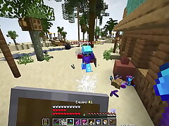Verifikationsvideo