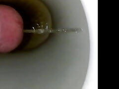 Pissing on Safari